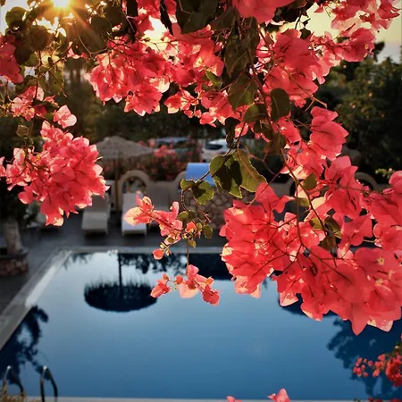 Artemis Santorini Hotel