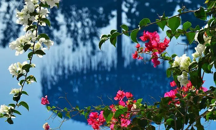 Artemis Santorini Kamári