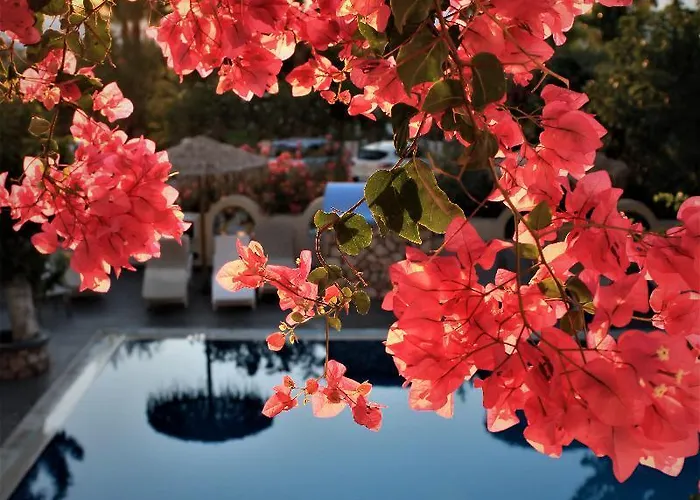 Artemis Santorini Hotel