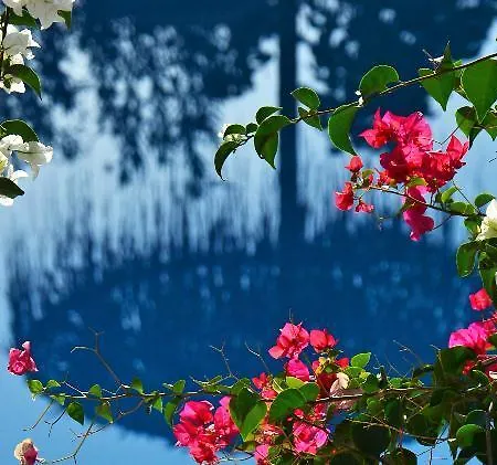 Artemis Santorini Kamári